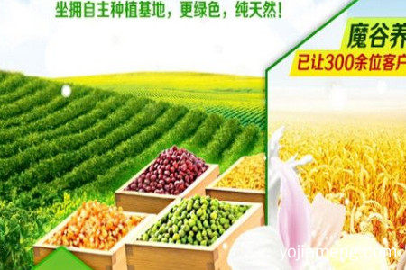 魔谷养生坊满足消费者的营养需求吗？有什么不同之处？