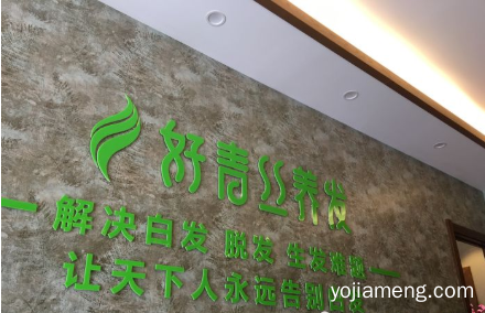 好青丝养发加盟费明细(好青丝养发加盟费多少钱)