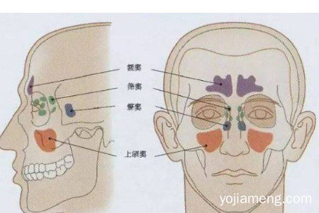 曾老太鼻炎馆加盟费用多少？曾老太鼻炎加盟利润如何