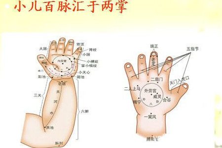 顽皮熊小儿推拿加盟费多少钱？官网加盟电话多少？