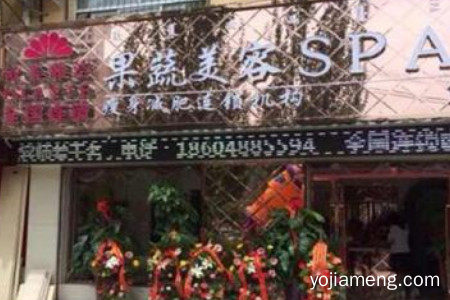 欧美雅洁果蔬美容具有发展潜力吗?面膜产品受欢迎吗？