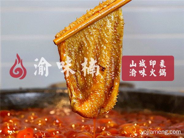 重庆老火锅哪家实力强？创业界黑马强势登场