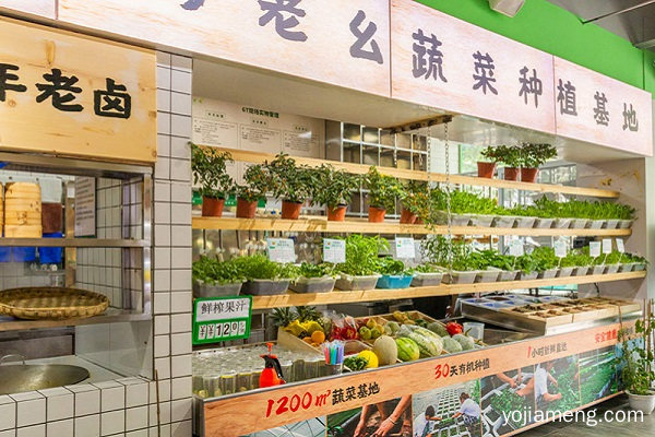 加盟马老幺市井鲜火锅好吗