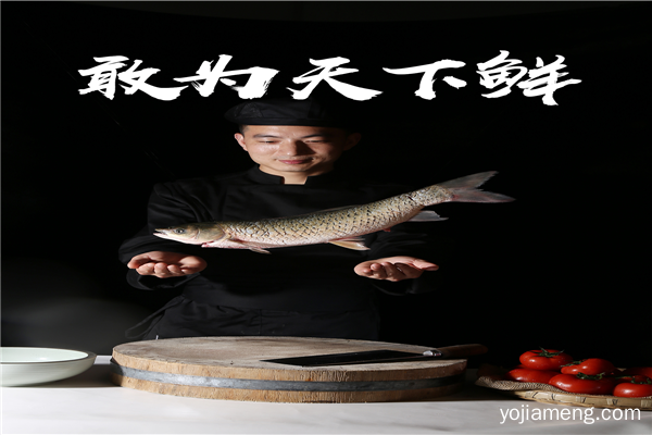 解密李二鲜鱼超级合伙人夏志雄是如何做成功的