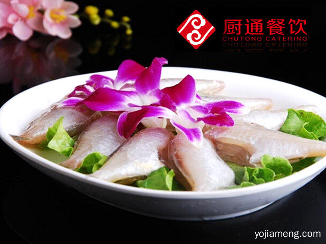 时尚养生火锅，认准诚意好食寨