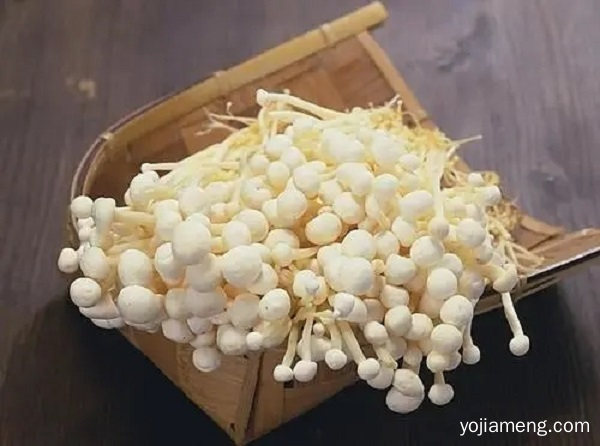火锅小知识 4种不发胖食材安心吃