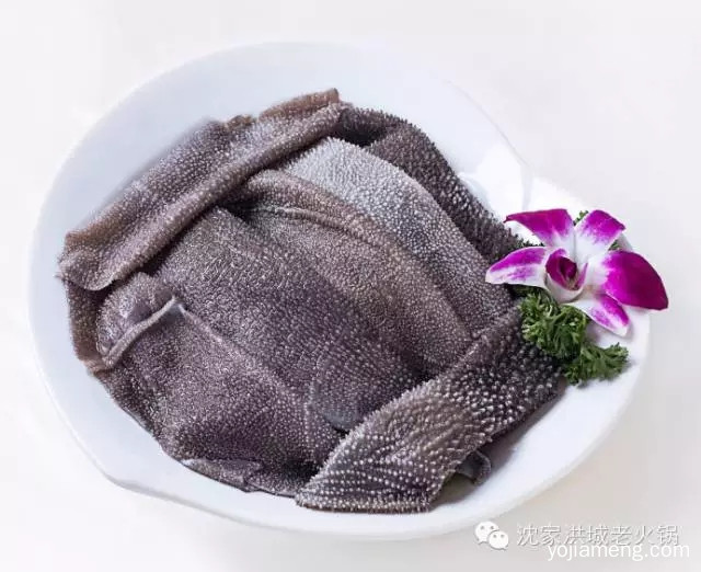开业喜讯！热烈祝贺沈家洪城红旗河沟店5月16日盛大开业！