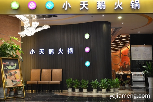 加盟重庆小天鹅火锅，打造不朽美食神话