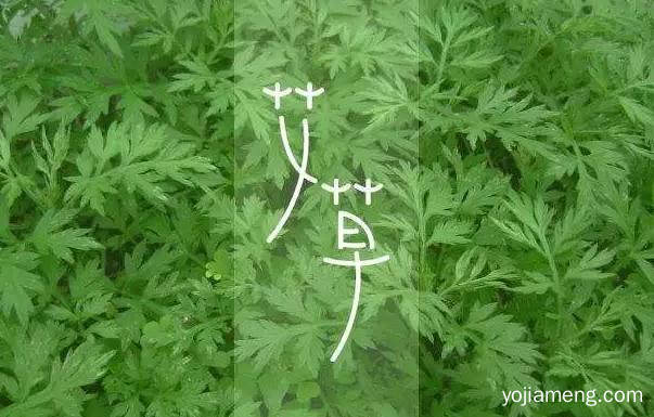 大门户粽意你，端午福利