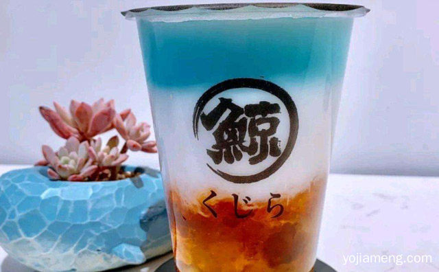 琉璃鲸是哪里的品，有没有加盟过的琉璃鲸，推荐了解一下？