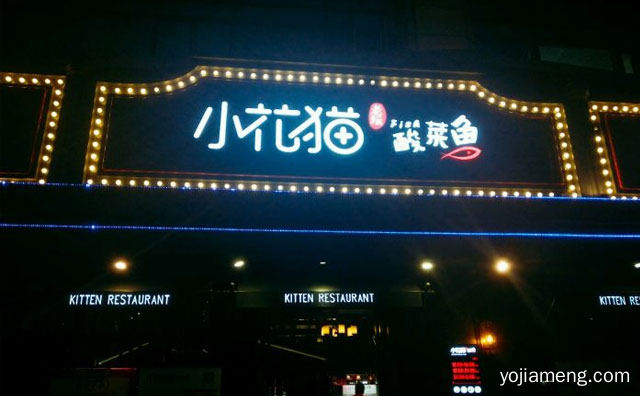新一代酸菜鱼传奇，小花猫酸菜鱼，详细了解一下！