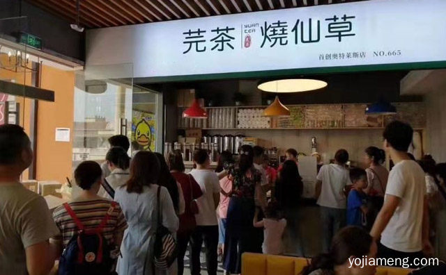 十年连锁经验铸就实力品牌，芫茶烧仙草，推荐了解一下？