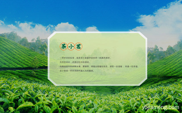 国民好茶，茶小茗，小茗敬奉，详细看看！