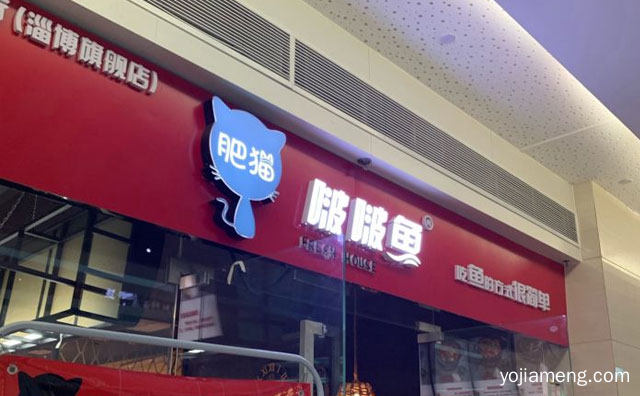 吃鱼的方式很简单，肥猫啵啵鱼，可以了解一下哈