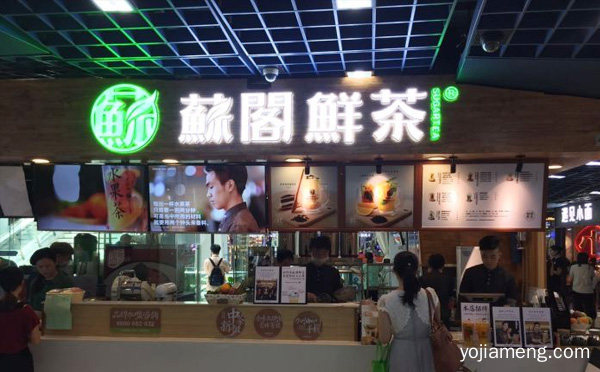 总部实力让你放心，苏阁鲜茶怎么样，推荐了解一下？