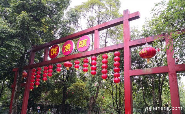 现在化轻化的特色鱼火锅品牌，俏鱼馆鱼火锅，详细了解一下！