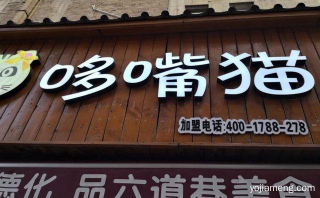 行业内的知名餐饮品牌，哆嘴猫冷锅串串，可以了解一下？