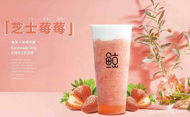 为什么鲸3鲸4能够如此受欢迎，推荐了解一下？