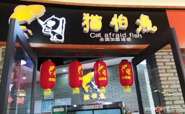 木桶喷泉火锅连锁品牌，猫怕鱼，值得了解！