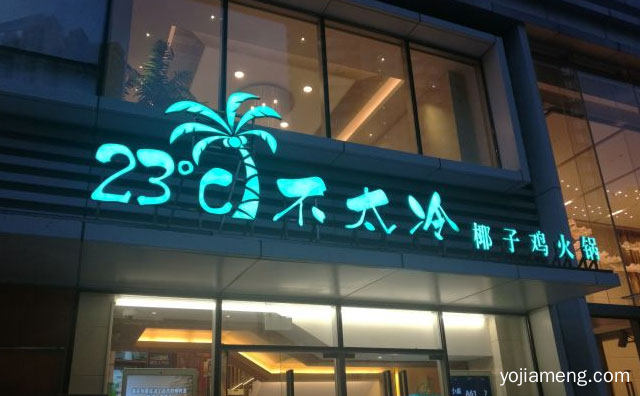 一汤三吃，23度不太冷椰子鸡火锅，健康滋补，值得了解一下？