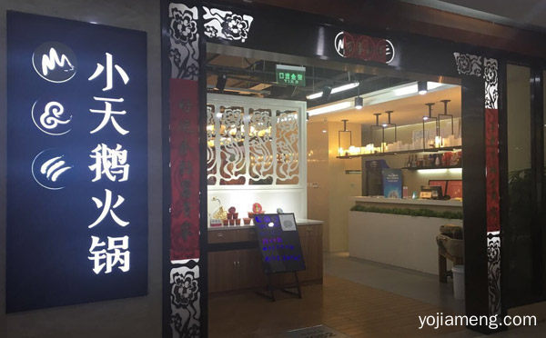 小天鹅火锅加盟费用与条件，详细了解一下！