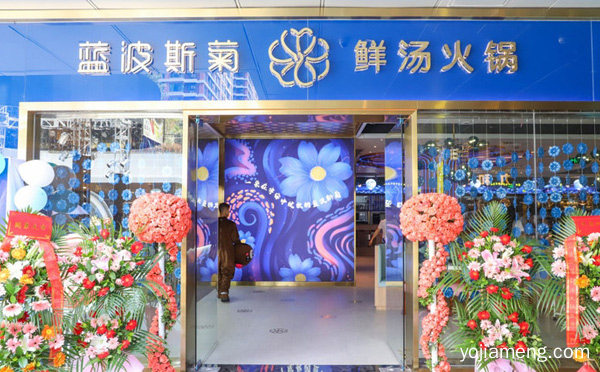 四季皆火爆的餐饮好项目，蓝波斯菊鲜汤火锅，值得看！
