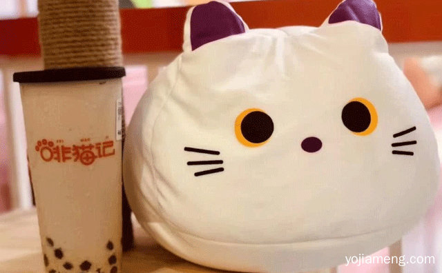 每款原料均由国家安全认证，啡猫记，详细看看！