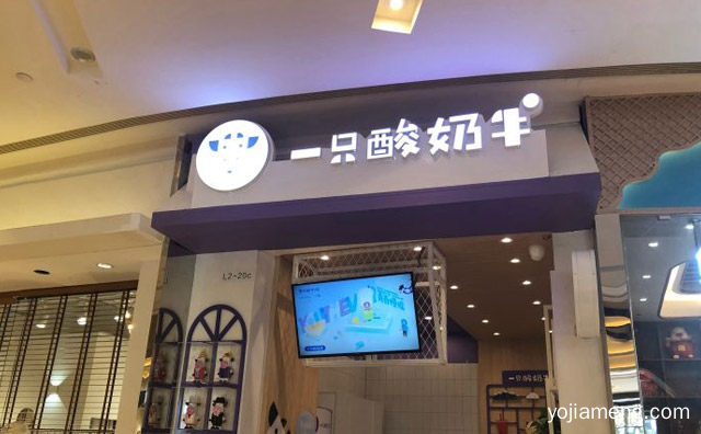 一只酸奶牛怎么做，一只酸奶牛是哪里的品牌，值得看！
