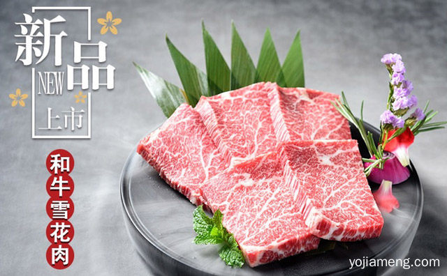 韩宫宴炭火烤肉前景怎么样，推荐了解一下？