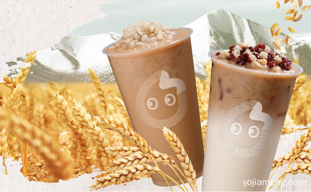 加盟沪上阿姨或者COCO哪个好，可以了解一下？