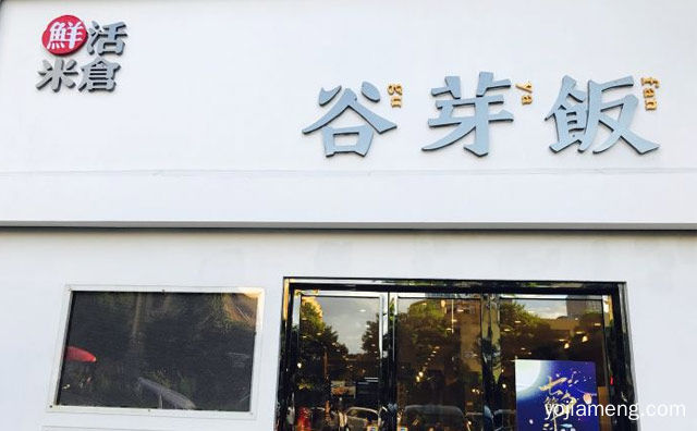 糙米有营养，鲜活米仓谷芽饭，发芽更健康，推荐看！