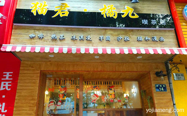 全新复合式休闲茶饮连锁品牌，猫君橘九，推荐了解一下？