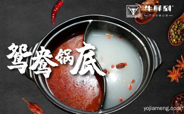 牛鲜到牛腩火锅加盟品牌介绍，可以了解一下？