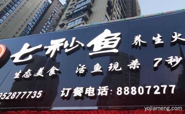 有名的鱼火锅连锁店，推荐了解一下？