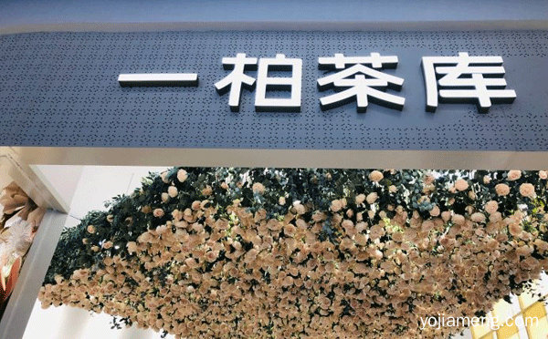 一个专注于花乳茶的新颖品牌，一柏茶库，可以了解一下哈