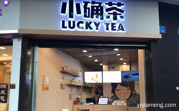 台式奶茶加盟十大排行榜，值得了解！