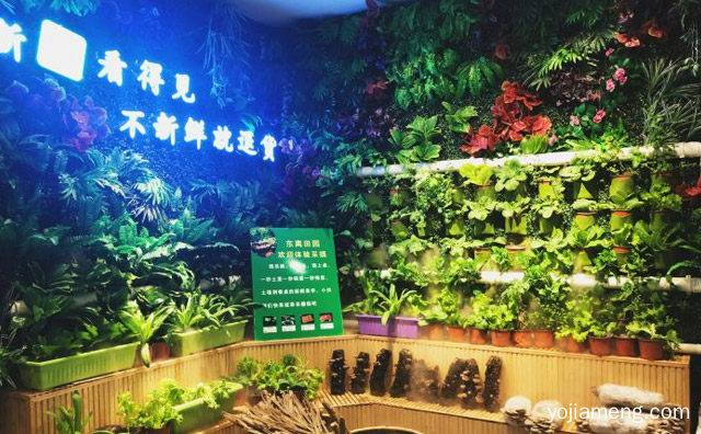 重庆杨光会鲜货火锅加盟怎么样，详细了解一下！