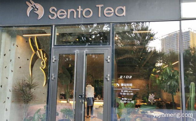 健康茶饮连锁品牌，SentoTea森兔，详细了解一下！