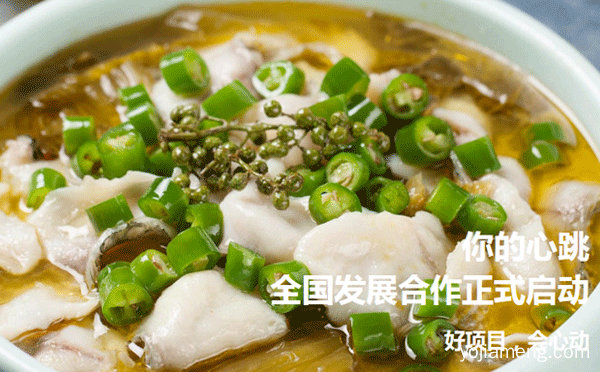 酸菜鱼加盟那个好，详细看看！