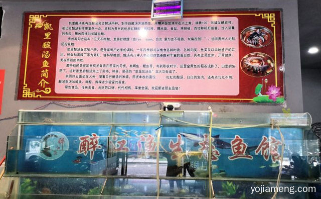 国内优秀的美食品牌，凯里酸汤鱼，推荐了解一下？