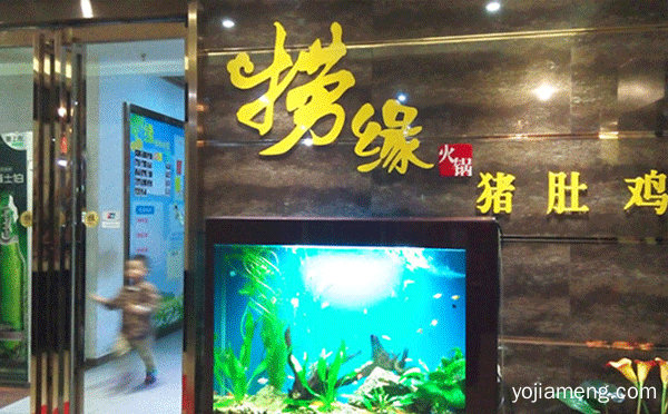 加盟猪肚鸡哪个品牌好，推荐了解！
