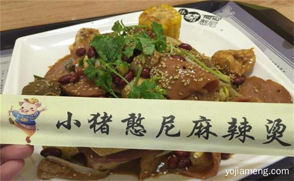  小猪憨尼麻辣烫加盟