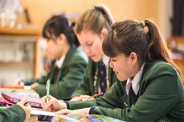 疫情冲击下，出国留学行业如何更好实现OMO？