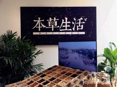 养发馆加盟