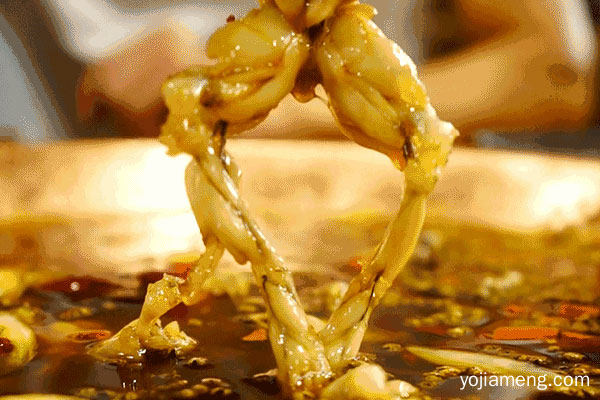 美蛙鱼头火锅