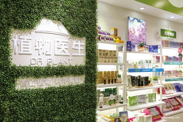 植物医生怎么加盟 植物医生怎么加盟